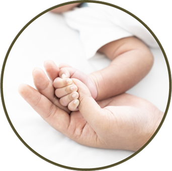 An adult holding an infant's hand